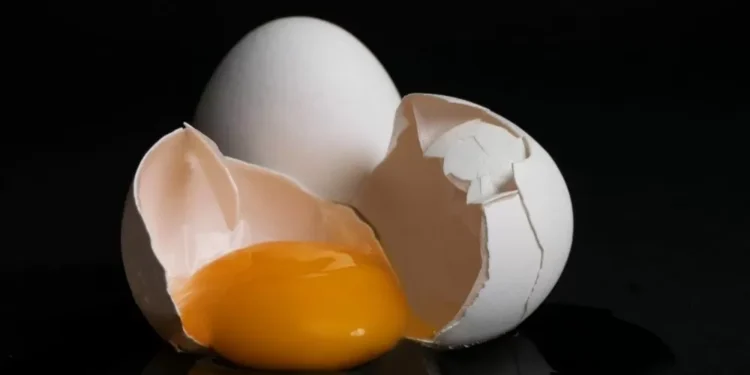 Mãe é obrigada a pagar cerca de R$ 9.500 à filha por quebrar ovo em sua cabeça 