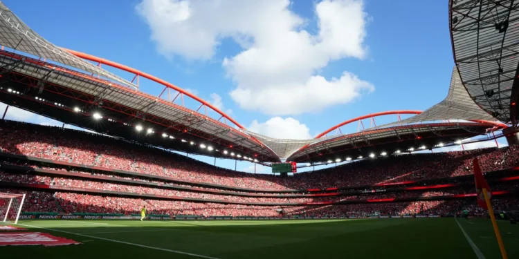 Dirigente do Benfica afasta polémica com Schjelderup: “Não pretendi…”