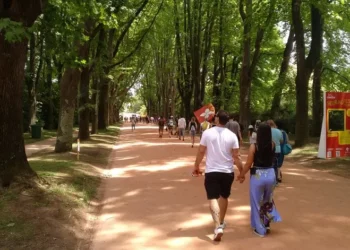 Serralves passa a gratuito para residentes em Portugal no 1.º domingo do mês