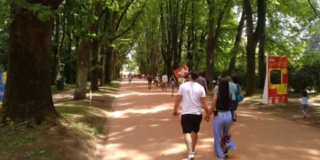 Serralves passa a gratuito para residentes em Portugal no 1.º domingo do mês