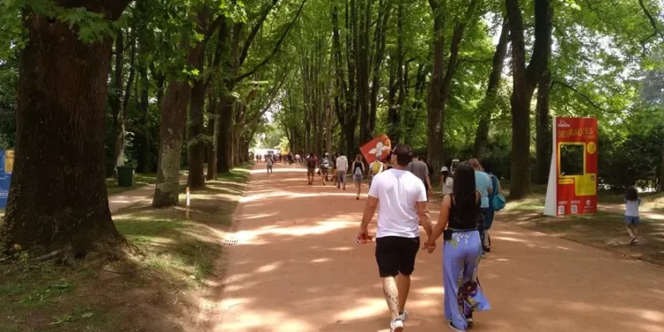 Serralves passa a gratuito para residentes em Portugal no 1.º domingo do mês