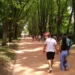 Serralves passa a gratuito para residentes em Portugal no 1.º domingo do mês