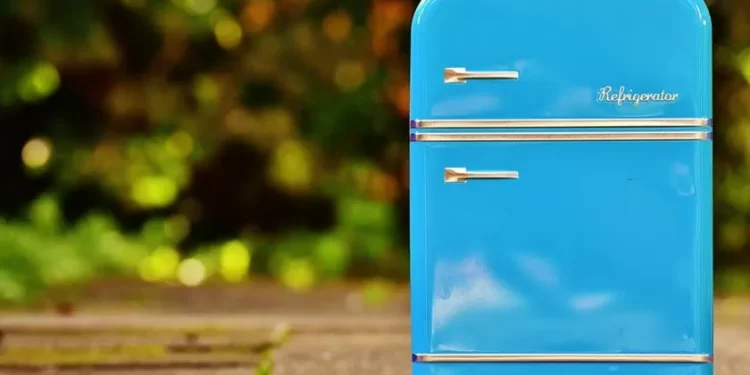 Apagão. Saiba o que fazer com o que tem no frigorífico