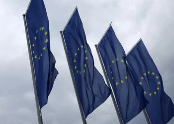 Portugal entre 11 países que pedem à UE adiamento da lei da desflorestação