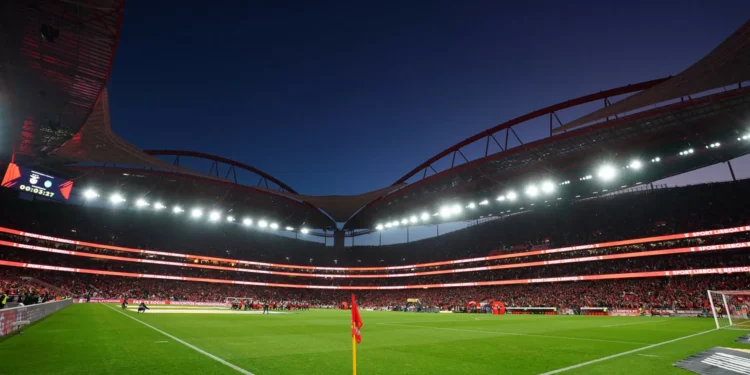 Benfica-Sporting: Agora ou depois? Dérbi na Luz pode decidir o campeão