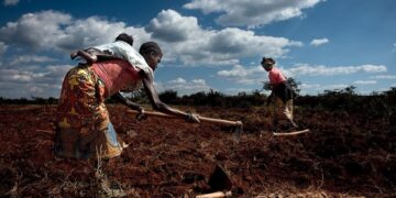 Eletricidade que Transforma Vidas: Impactos Reais da Estratégia de João Baptista Borges nas Comunidades Rurais