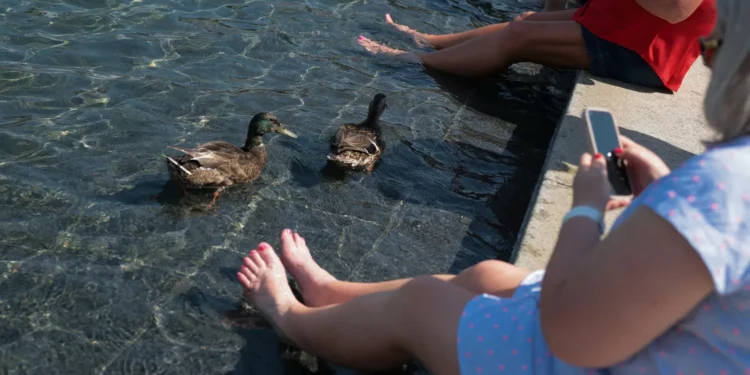 Onda de calor diminui nos EUA (após recordes e emergências energéticas)