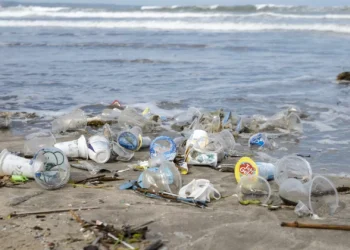 Oceanos. Mais de 90 países pedem tratado ambicioso para reduzir plásticos