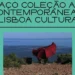 Já pode conhecer a Coleção de Arte Contemporânea da Câmara de Lisboa