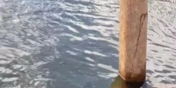 Cemitério submerso no Brasil aparece após 30 anos. Ora veja