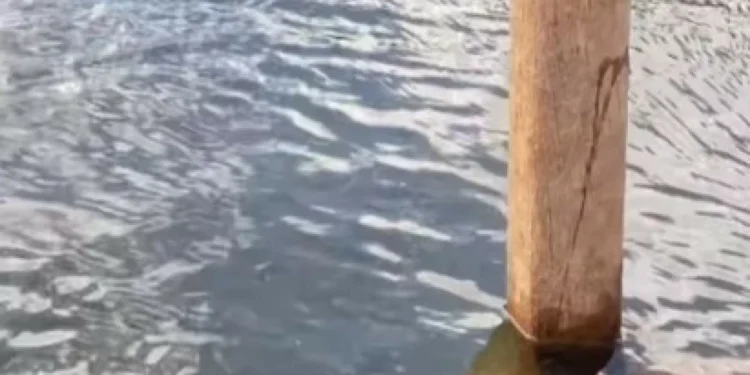 Cemitério submerso no Brasil aparece após 30 anos. Ora veja