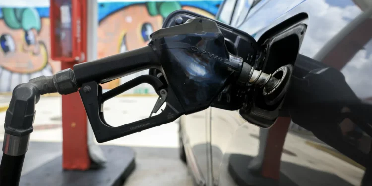 Veículos a gasóleo dominam frota do Estado. Só 1,13% são elétricos