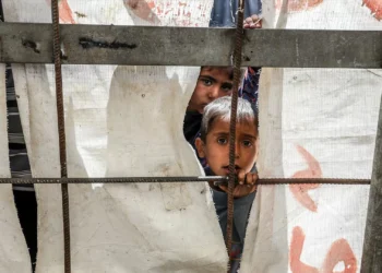 ​ONU avisa: todos os envolvidos no extermínio em Gaza “são suspeitos de cometer crimes de guerra”