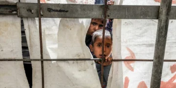 ​ONU avisa: todos os envolvidos no extermínio em Gaza “são suspeitos de cometer crimes de guerra”
