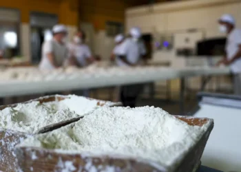 ​Caralhotas de Almeirim ganham reconhecimento de Bruxelas