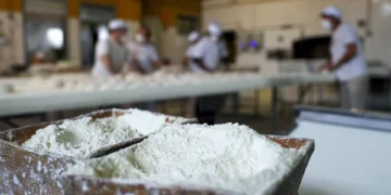 ​Caralhotas de Almeirim ganham reconhecimento de Bruxelas