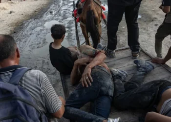 Palestinianos morrem à procura de alimentos. EUA vão financiar fundação polémica na Faixa de Gaza