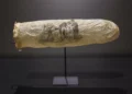 Museu em Amesterdão expõe preservativo raro com 200 anos