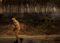 Mais de 3.500 pessoas retiradas no norte da Turquia devido aos incêndios