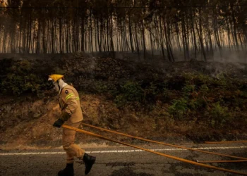 Mais de 3.500 pessoas retiradas no norte da Turquia devido aos incêndios
