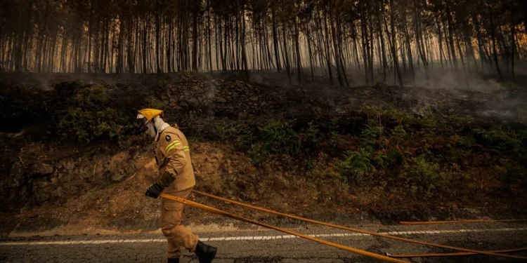 Mais de 3.500 pessoas retiradas no norte da Turquia devido aos incêndios