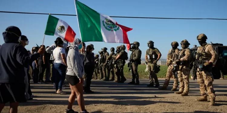 Trabalhador morre ao cair de estufa durante operação de deportação nos EUA