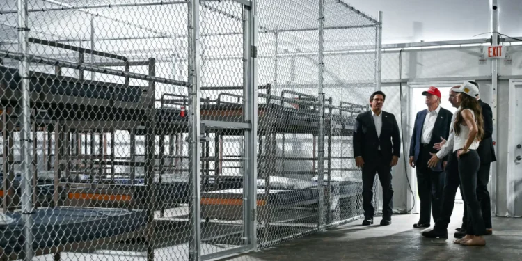 Ecologistas denunciam catástrofe natural resultante do Alligator Alcatraz