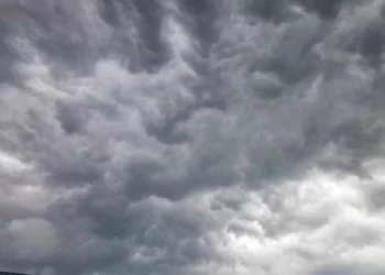 Tufão Wipha obriga Macau a subir nível de alerta para sinal 8