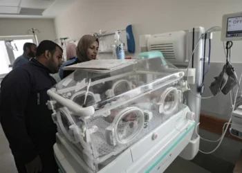 Gaza. Bebés prematuros partilham incubadoras no Al Shifa devido à crise energética