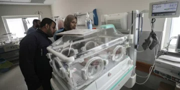 Gaza. Bebés prematuros partilham incubadoras no Al Shifa devido à crise energética