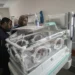 Gaza. Bebés prematuros partilham incubadoras no Al Shifa devido à crise energética