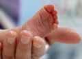 ‘Testes do pezinho’ mostram mais nascimentos no 1.º semestre do ano