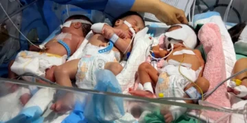 “É um desastre”. Em Gaza, bebés prematuros lutam para sobreviver em incubadoras sobrelotadas