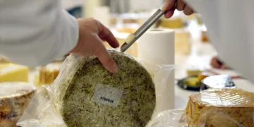 Investigadores ligam consumo de queijo à noite a pesadelos