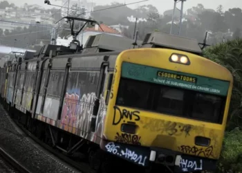 Festival Alive. Circulação de comboios suspensa entre Alcântara Mar e Cais do Sodré