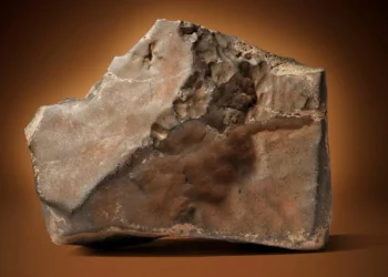 Quer ter um pedaço de Marte? A maior rocha marciana vai este mês a leilão