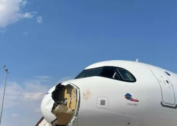 Choque com ave obriga avião a aterrar de emergência em Madrid. As imagens