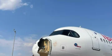 Choque com ave obriga avião a aterrar de emergência em Madrid. As imagens