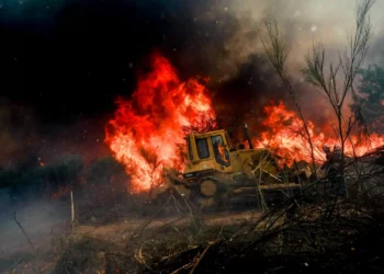 Parte da Europa continua afetada por fogos alimentados pelo calor