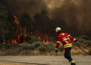 Mais de 2.500 operacionais combatem 22 incêndios em curso