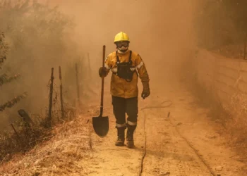 Fumo dos incêndios pode ter efeitos a longo prazo nos pulmões