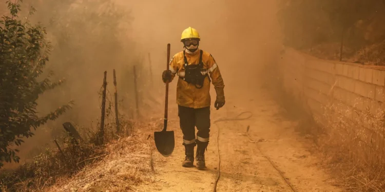 Fumo dos incêndios pode ter efeitos a longo prazo nos pulmões