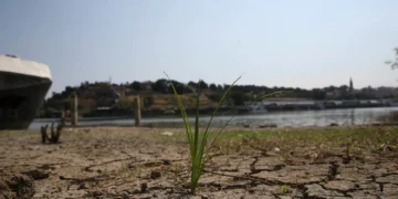 Relatório aponta falhas no planeamento climático de vários países mas elogia Portugal