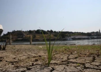Relatório aponta falhas no planeamento climático de vários países mas elogia Portugal