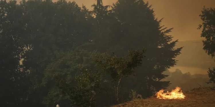 Calor continua e mais de 110 concelhos estão em risco máximo de incêndios