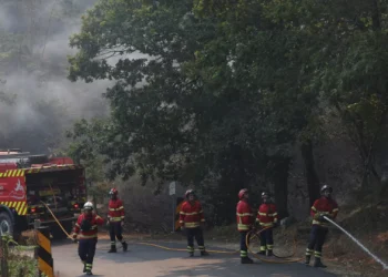 Ponte da Barca com frente a arder com “intensidade”. Sem casas em risco