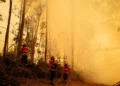 Incêndios: 140 concelhos do interior Norte e Centro e Algarve em risco máximo
