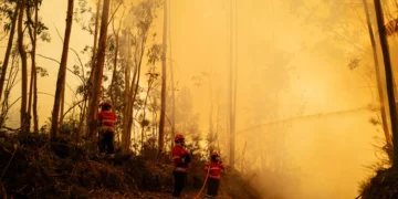Incêndios: 140 concelhos do interior Norte e Centro e Algarve em risco máximo
