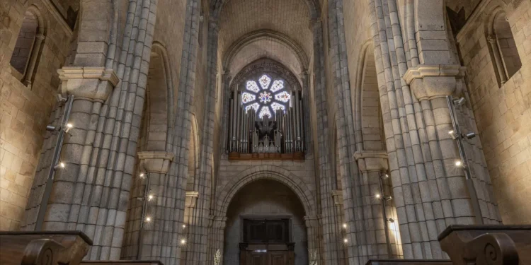 Edição deste ano do FIOMS com duas temporadas