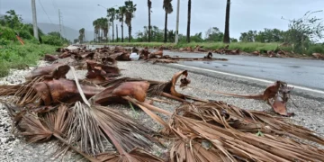 Papa lembra “milhares de desalojados” e destruição provocada pelo furacão Melissa
